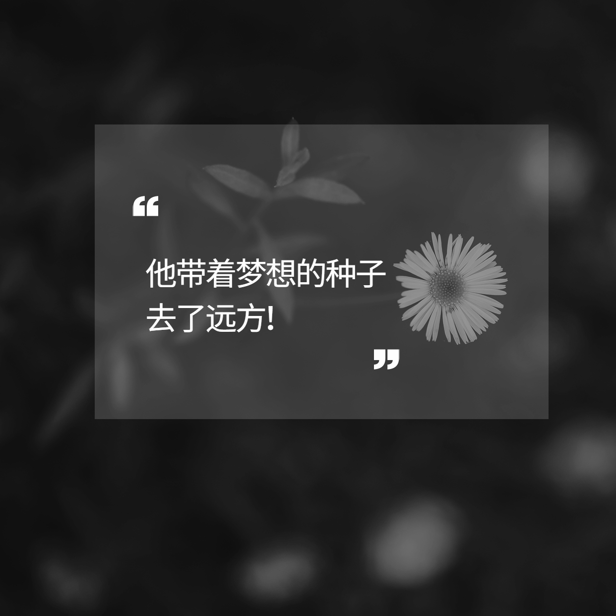 袁隆平用一粒種子的力量改變了世界！