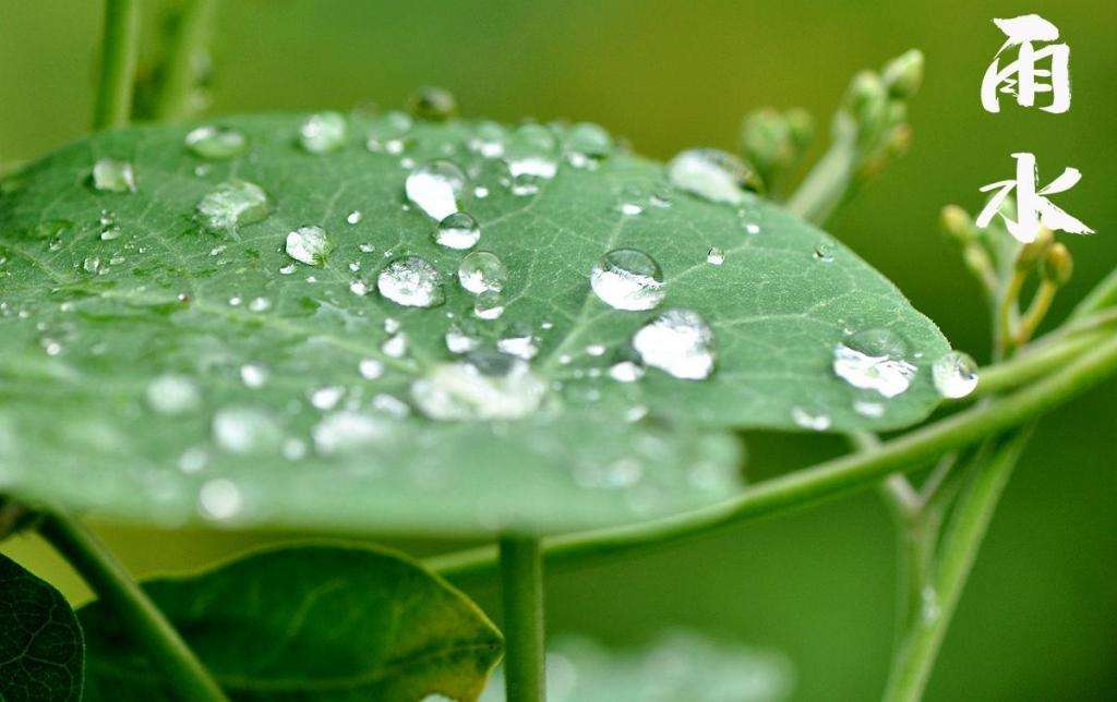 雨水潤萬物，兼顧沙與泥！